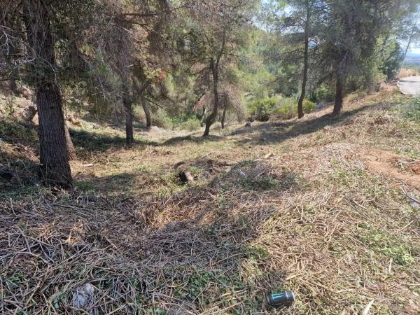 Terreno en calle Dieciseis, 16