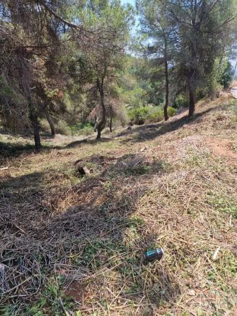 Terreno en calle Dieciseis, 16