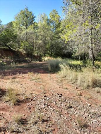 Terreno en Serra