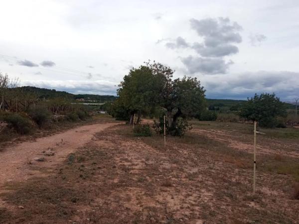 Terreno en Parque de la Bombilla-Pla de Rascanya
