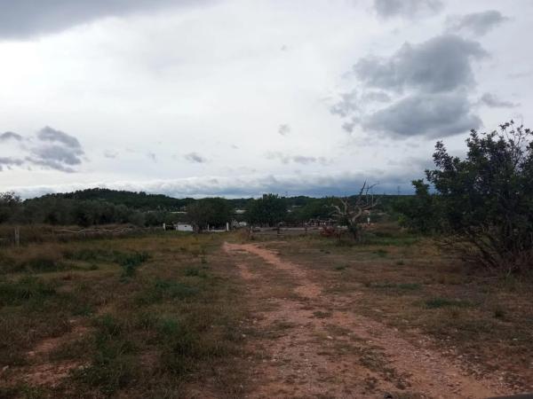 Terreno en Parque de la Bombilla-Pla de Rascanya