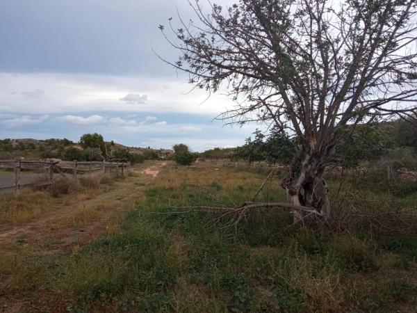 Terreno en Parque de la Bombilla-Pla de Rascanya