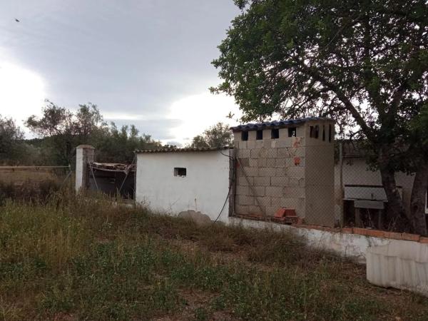 Terreno en Parque de la Bombilla-Pla de Rascanya