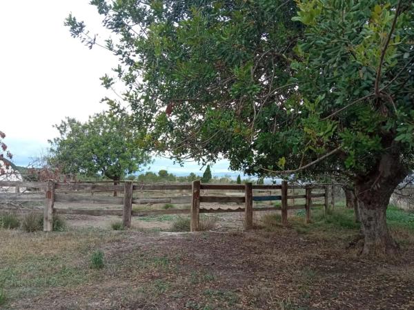 Terreno en Parque de la Bombilla-Pla de Rascanya