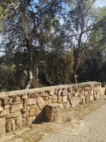 Terreno en Monteamor - La Carrasca - El Peucal