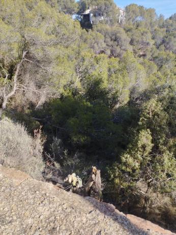 Terreno en Monteamor - La Carrasca - El Peucal