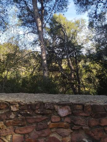 Terreno en Monteamor - La Carrasca - El Peucal