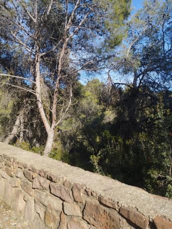 Terreno en Monteamor - La Carrasca - El Peucal