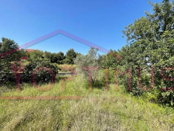 Terreno en calle de Safareig