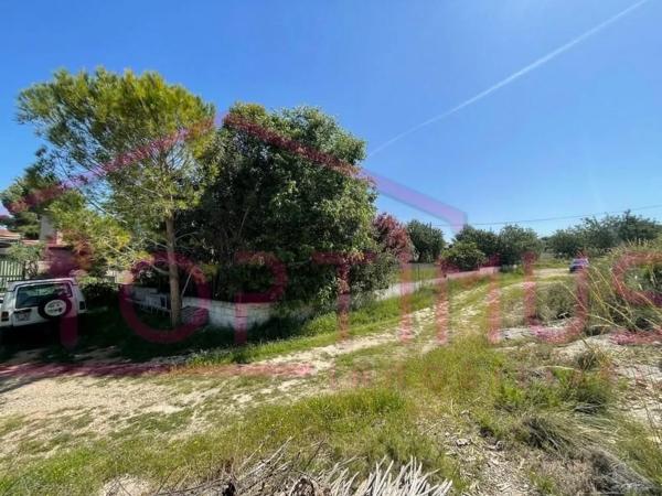 Terreno en calle de Safareig