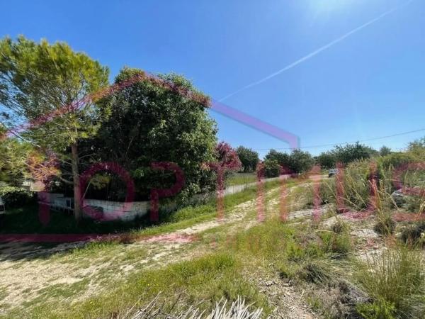 Terreno en calle de Safareig