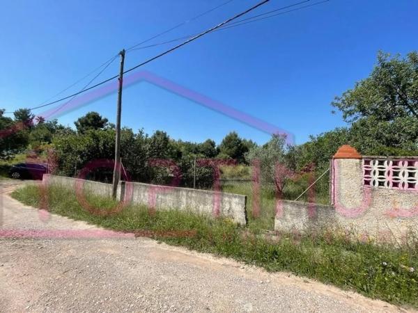 Terreno en calle de Safareig