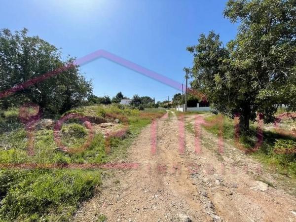 Terreno en calle de Safareig