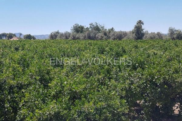 Terreno en Casco Antiguo