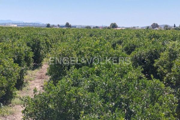Terreno en Casco Antiguo