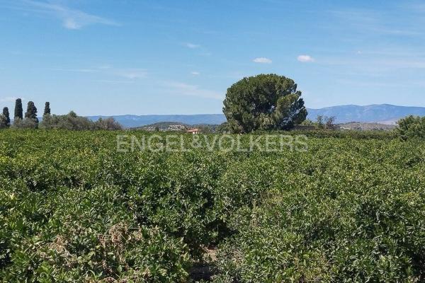 Terreno en Casco Antiguo