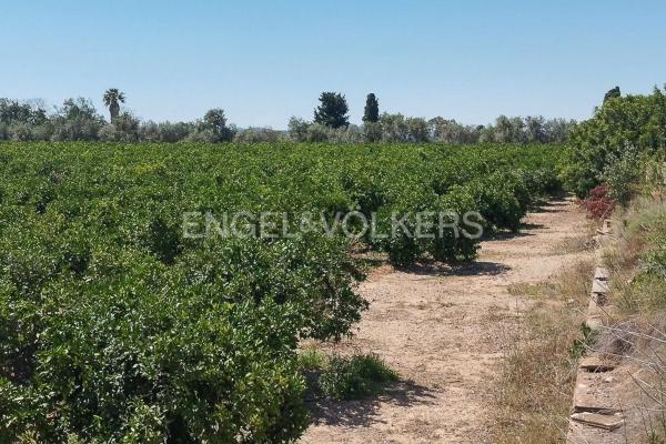 Terreno en Casco Antiguo