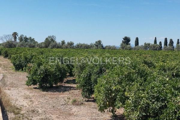 Terreno en Casco Antiguo