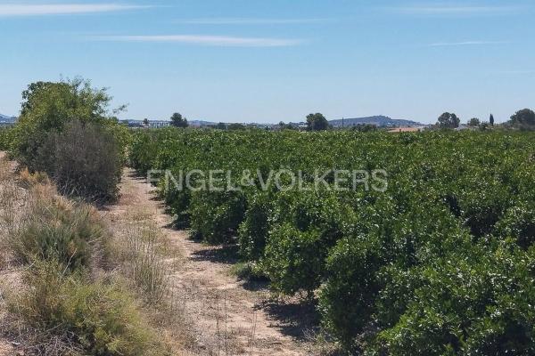 Terreno en Casco Antiguo