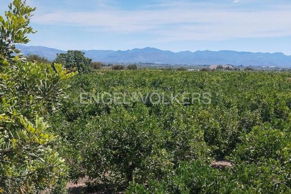 Terreno en Casco Antiguo
