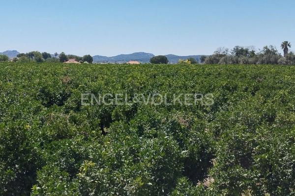 Terreno en Casco Antiguo