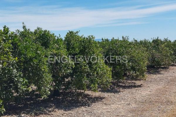 Terreno en Casco Antiguo