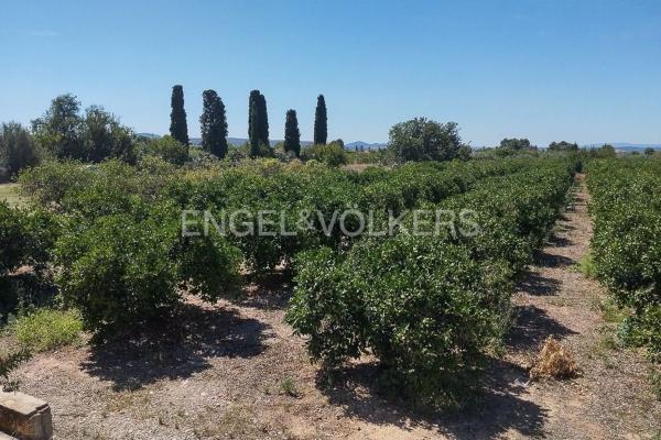 Terreno en Casco Antiguo