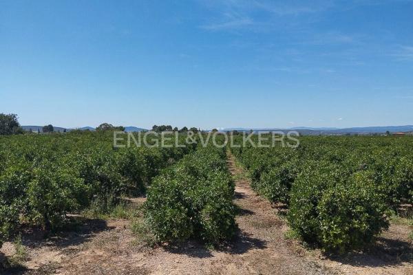 Terreno en Casco Antiguo