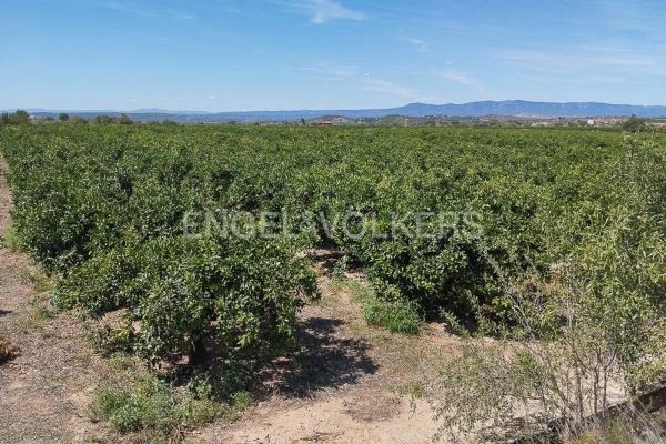 Terreno en Casco Antiguo