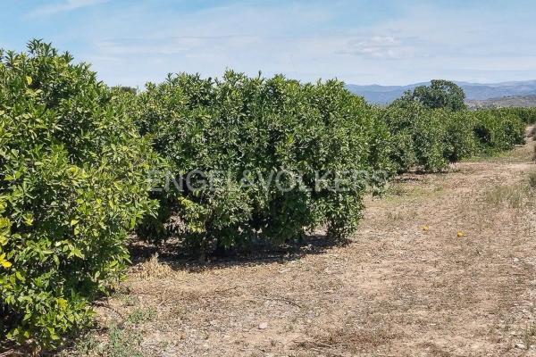 Terreno en Casco Antiguo