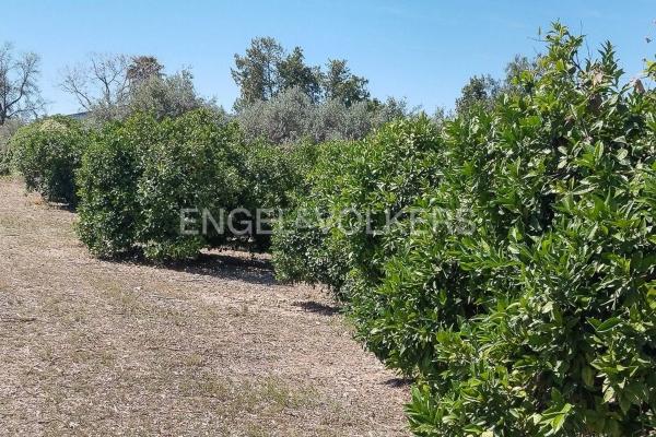 Terreno en Casco Antiguo