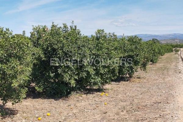 Terreno en Casco Antiguo