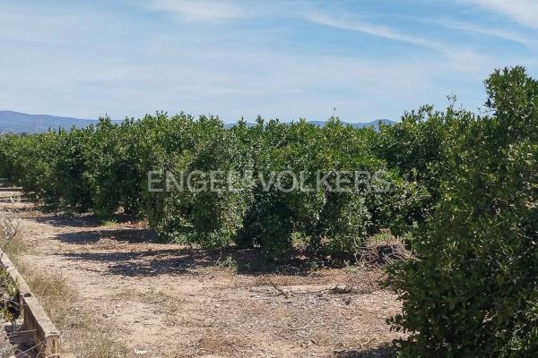 Terreno en Casco Antiguo