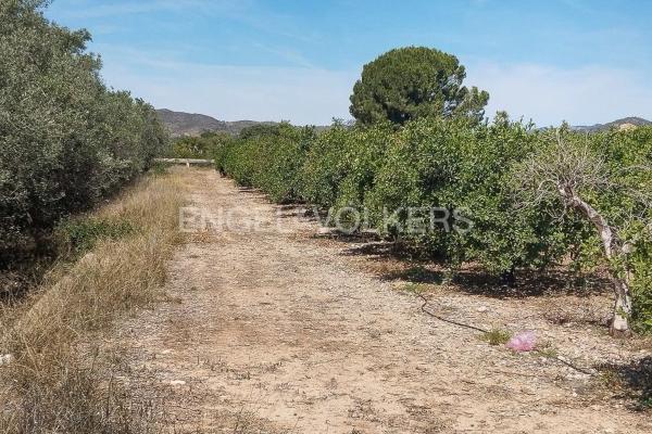 Terreno en Casco Antiguo