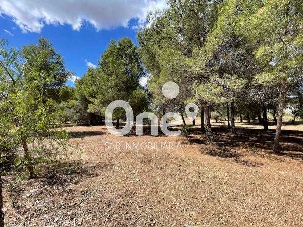 Terreno en calle San Ramón, 26