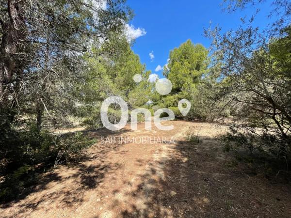 Terreno en calle San Ramón, 26