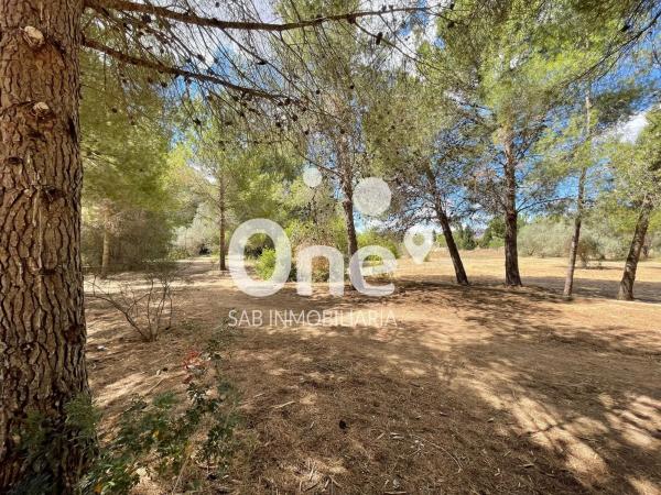 Terreno en calle San Ramón, 26