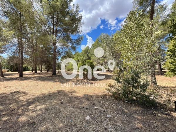 Terreno en calle San Ramón, 26