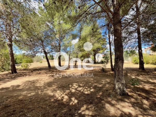 Terreno en calle San Ramón, 26