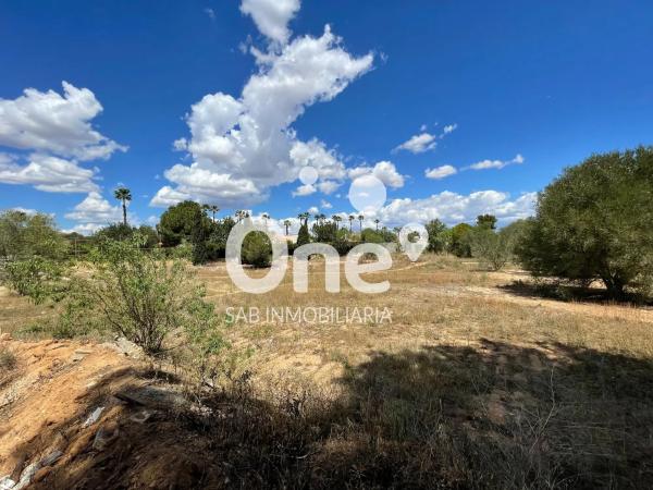 Terreno en calle San Ramón, 26