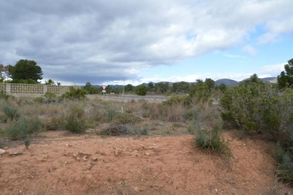 Terreno en Los Pinares-La Masía