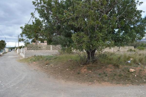 Terreno en Los Pinares-La Masía