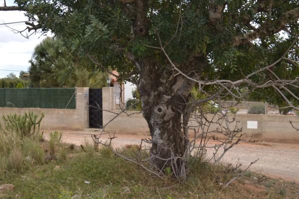 Terreno en Los Pinares-La Masía