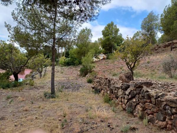 Terreno en Puntal cementerio, 3 PolgonoparcelaP