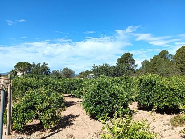 Terreno en Cv-376, km 34