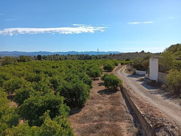 Terreno en Cv-376, km 34