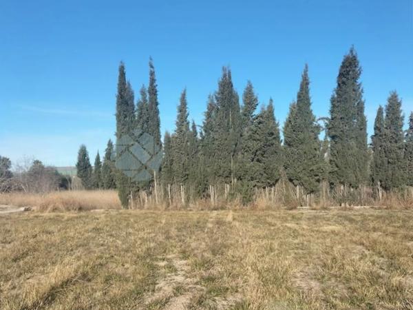 Terreno en Parque de la Bombilla-Pla de Rascanya