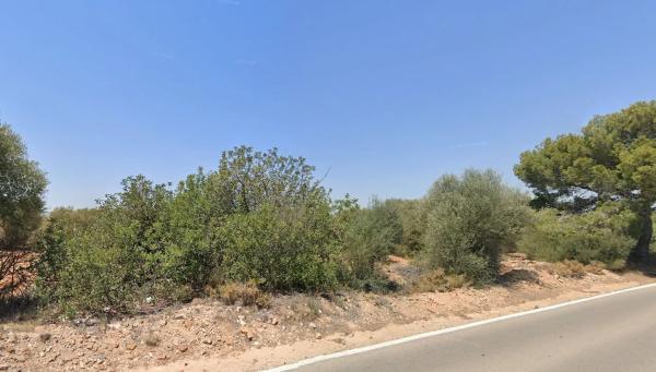 Terreno en carretera Ribarroja Gallipont, 3