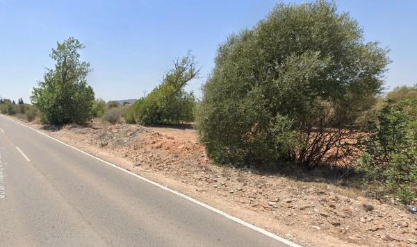 Terreno en carretera Ribarroja Gallipont, 3