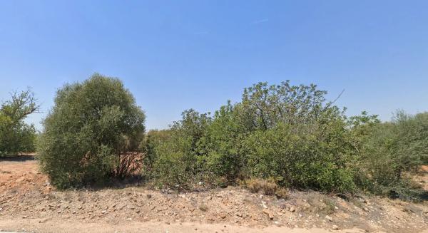 Terreno en carretera Ribarroja Gallipont, 3